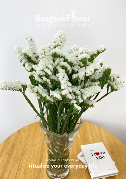Statice White