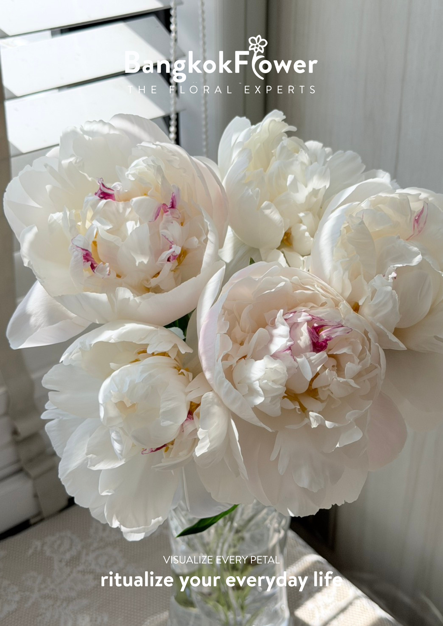 Peony Gardenia