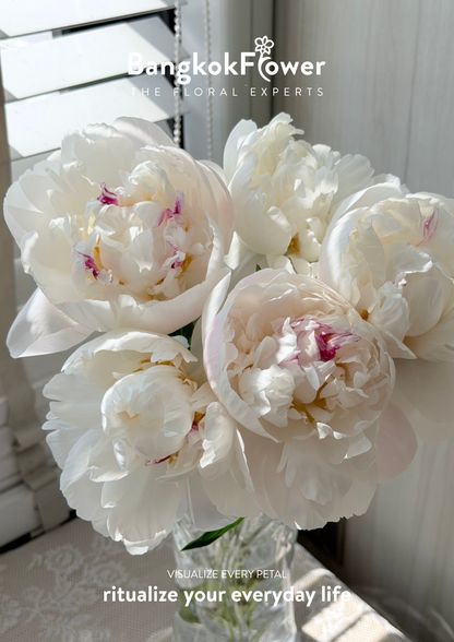 Peony Gardenia