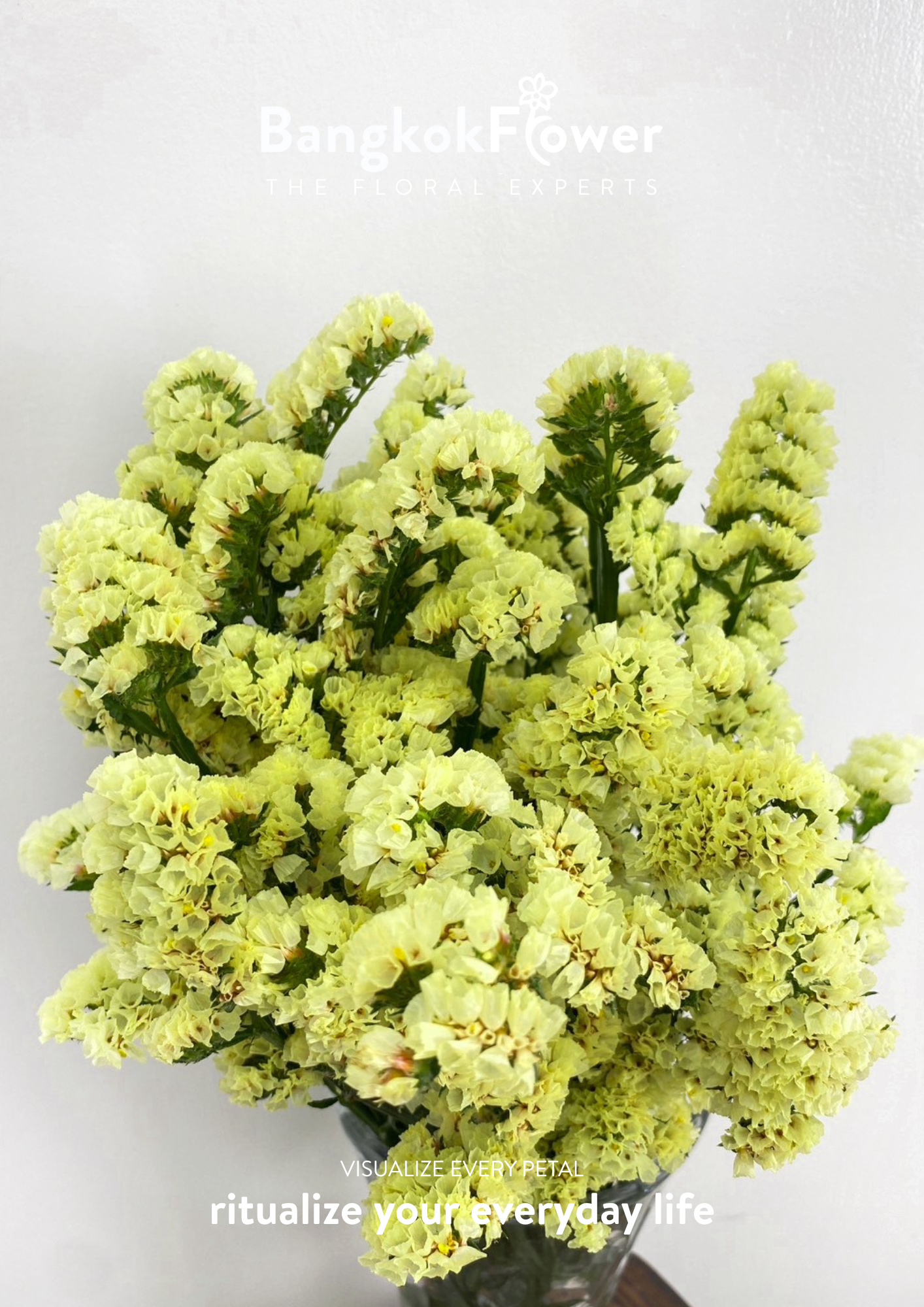 Statice Yellow