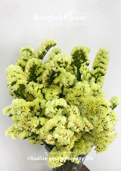 Statice Yellow