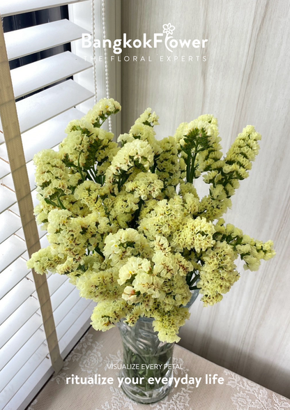 Statice Yellow