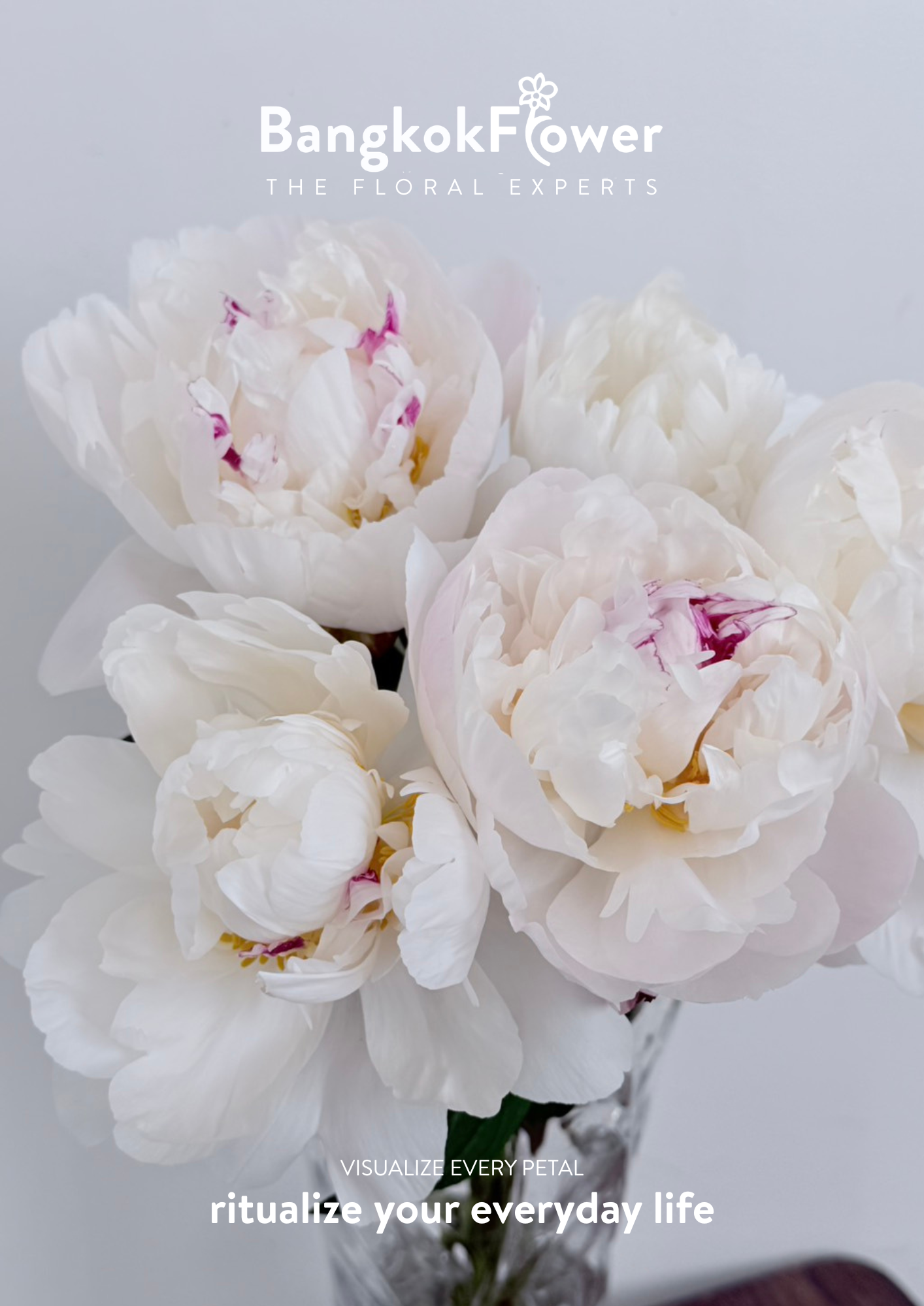 Peony Gardenia