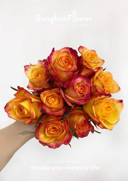 Outlaw Rose