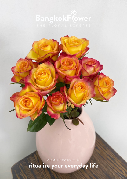 Outlaw Rose