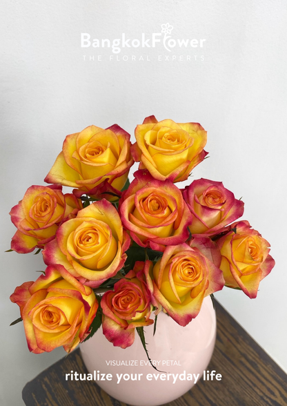 Outlaw Rose
