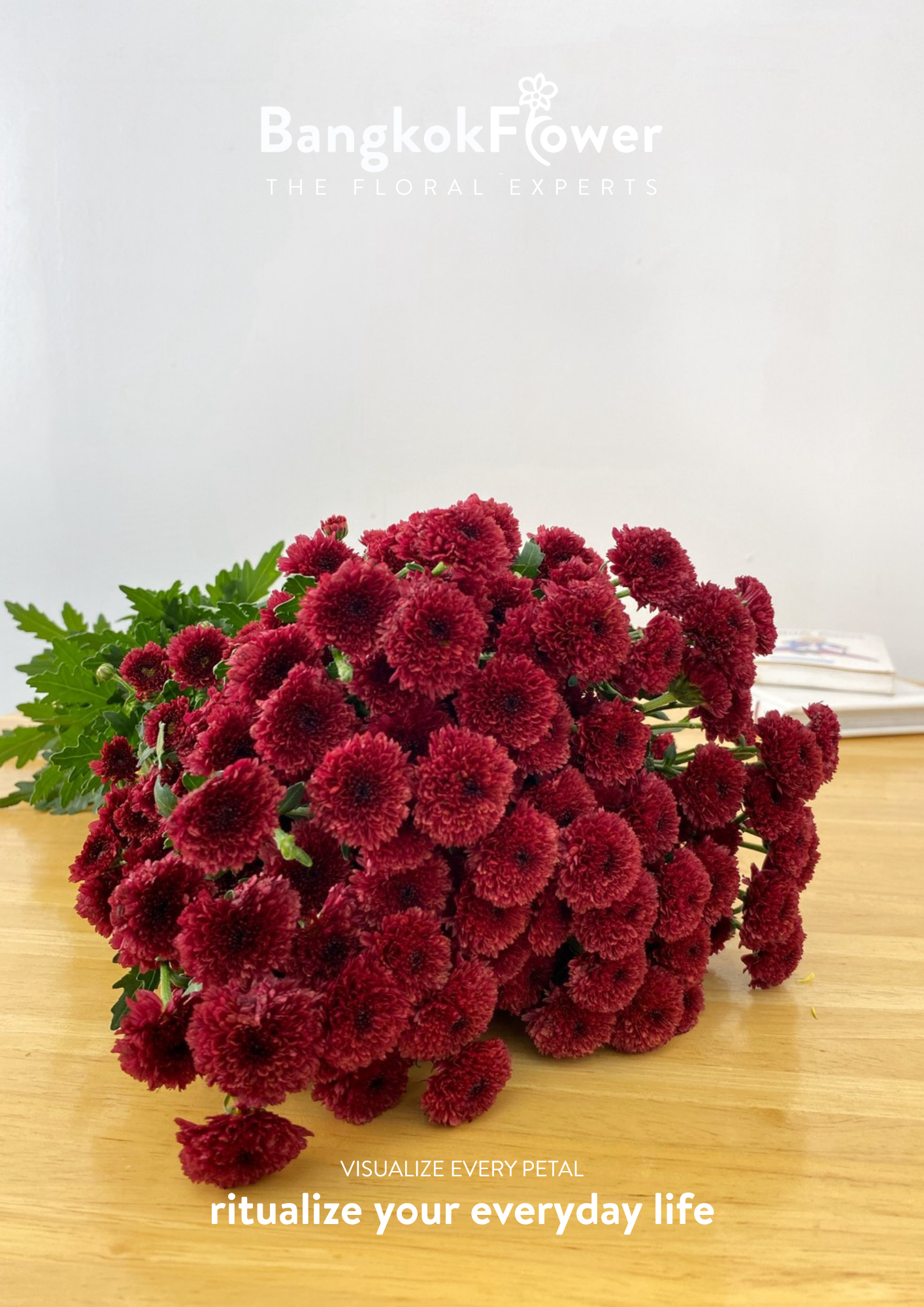 Calimero Red