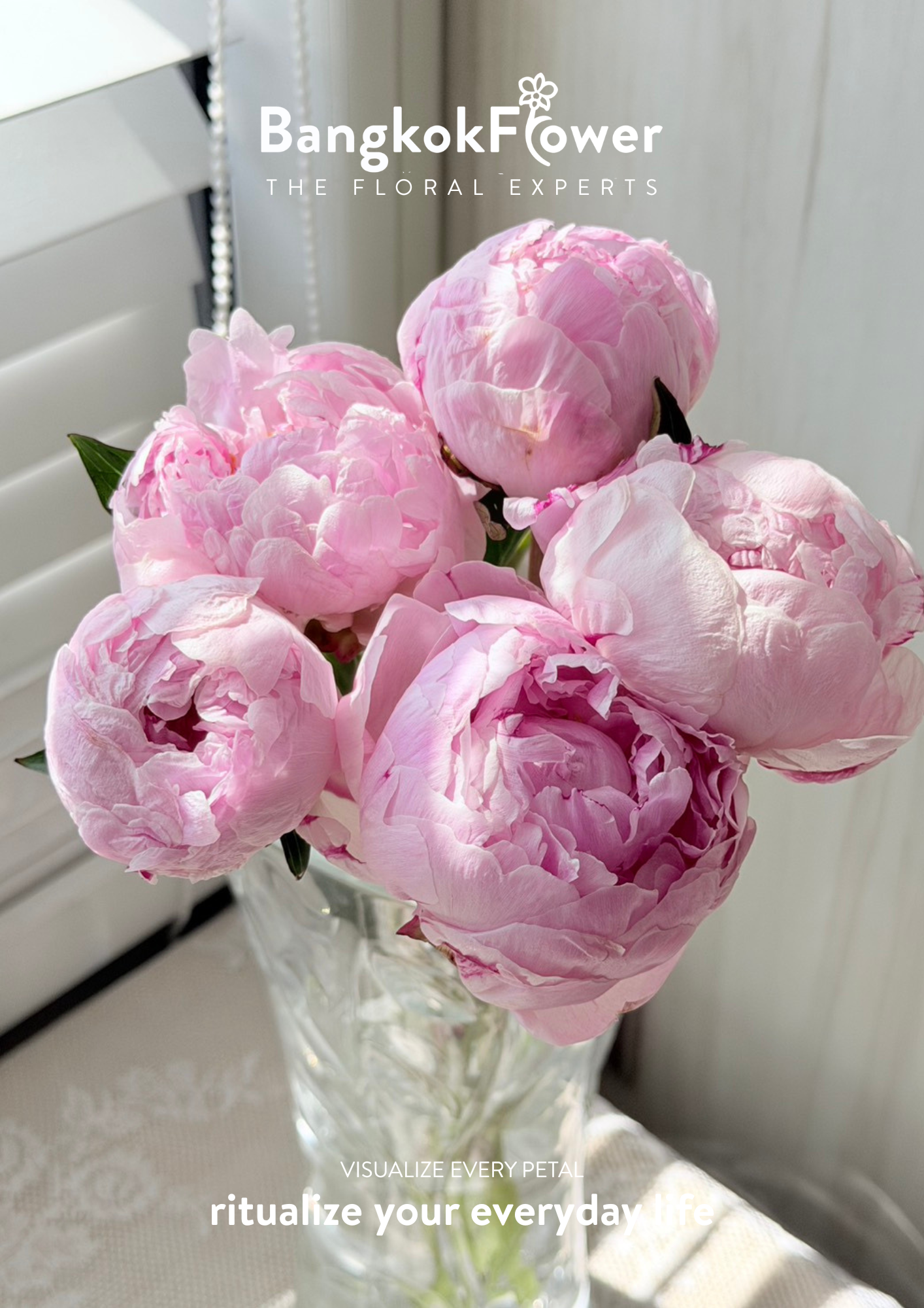 Peony Sara Pink