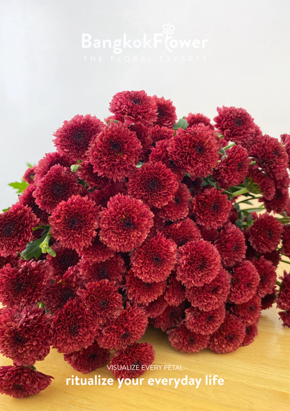Calimero Red
