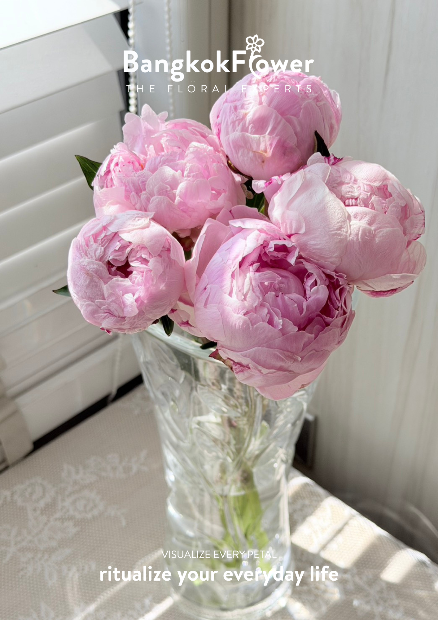 Peony Sara Pink