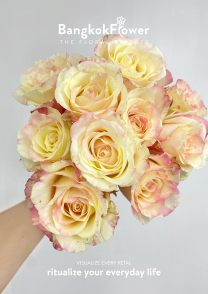 กุหลาบ Rose4U