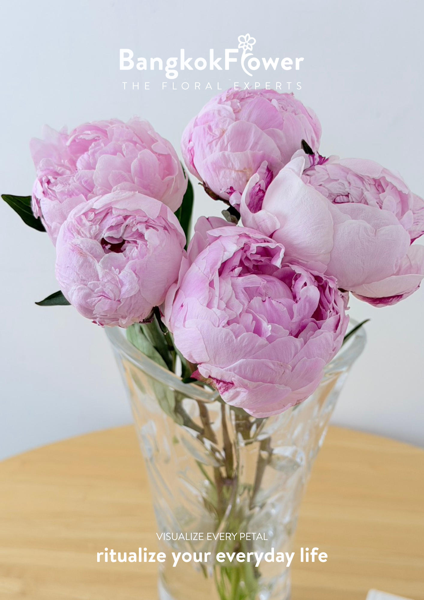 Peony Sara Pink
