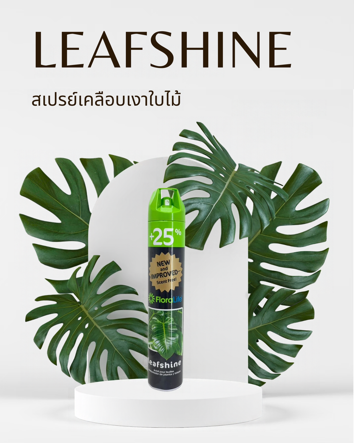 สเปรย์เคลือบเงาใบไม้ FloraLife Leafshine