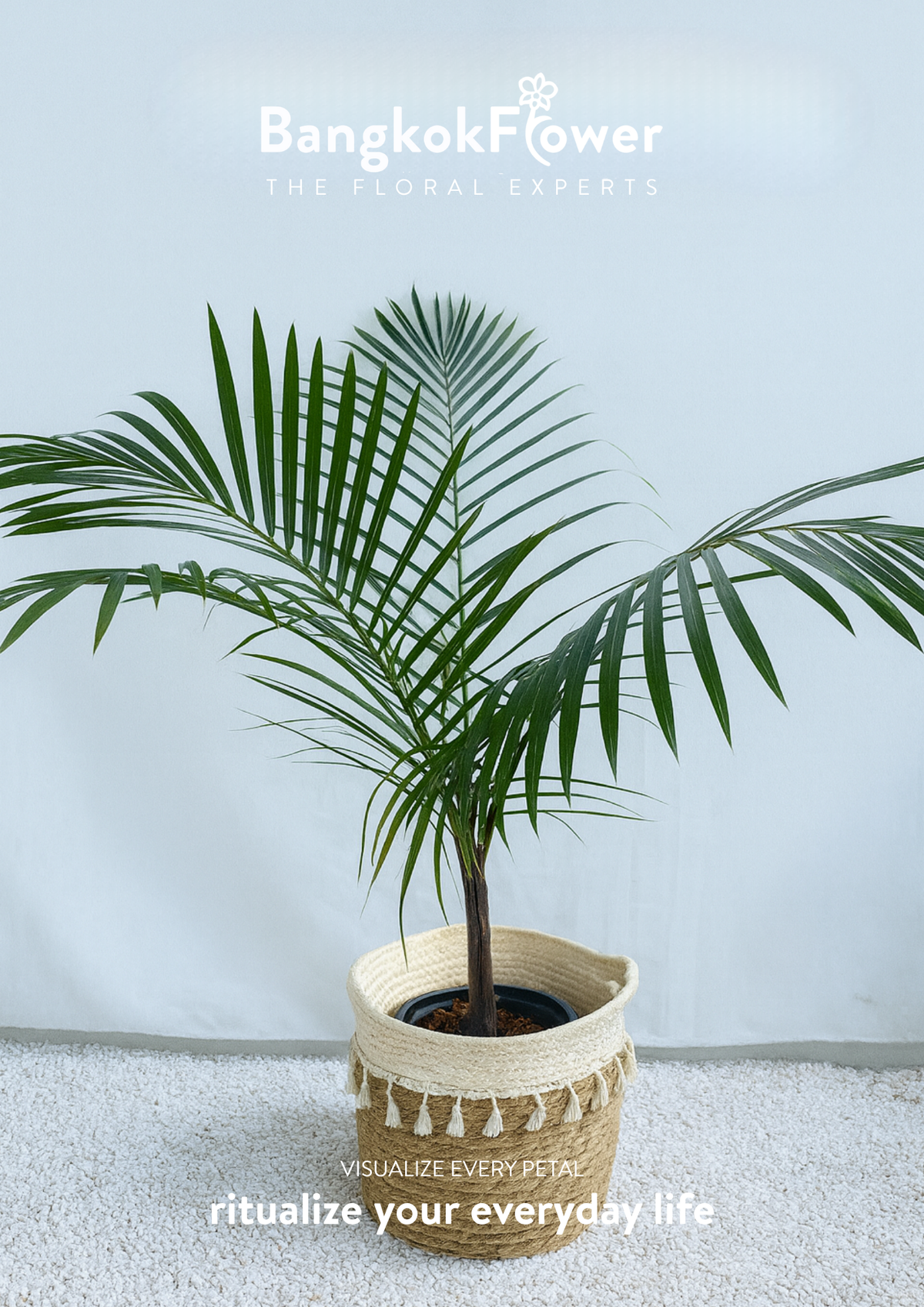 Palm