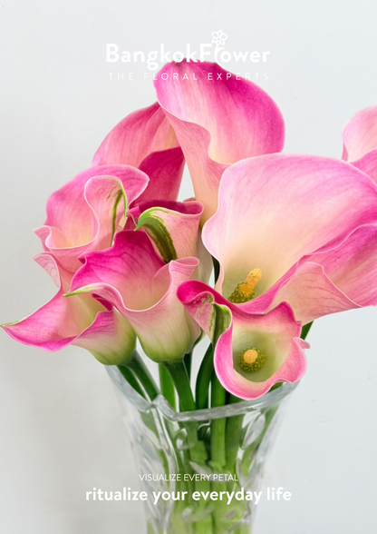 Calla Lily Light Pink