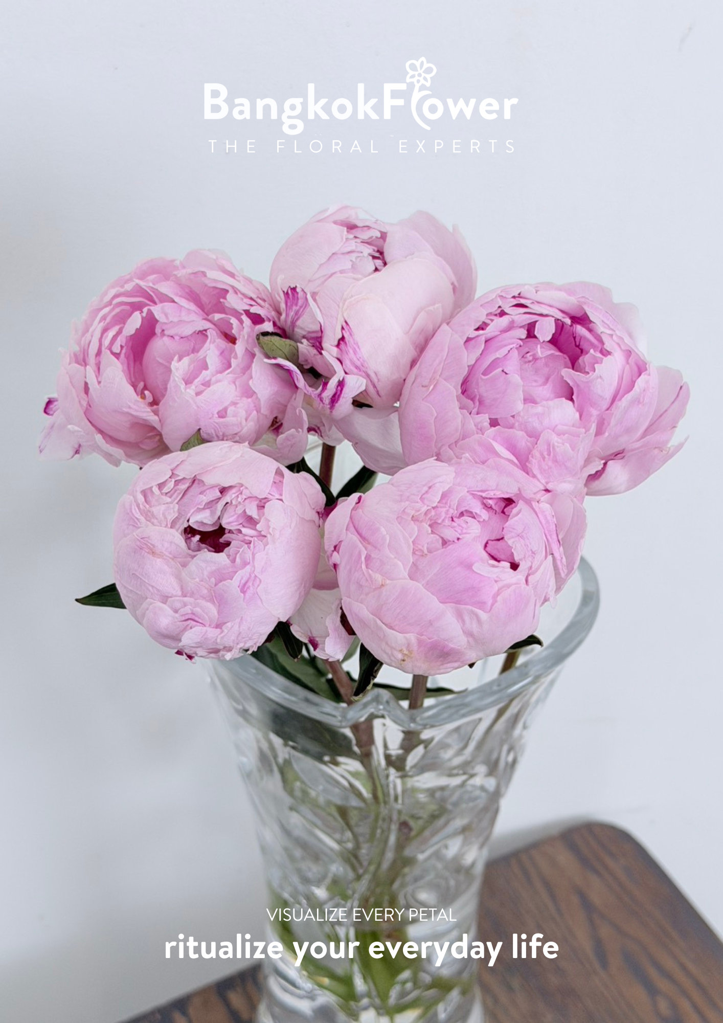 Peony Sara Pink