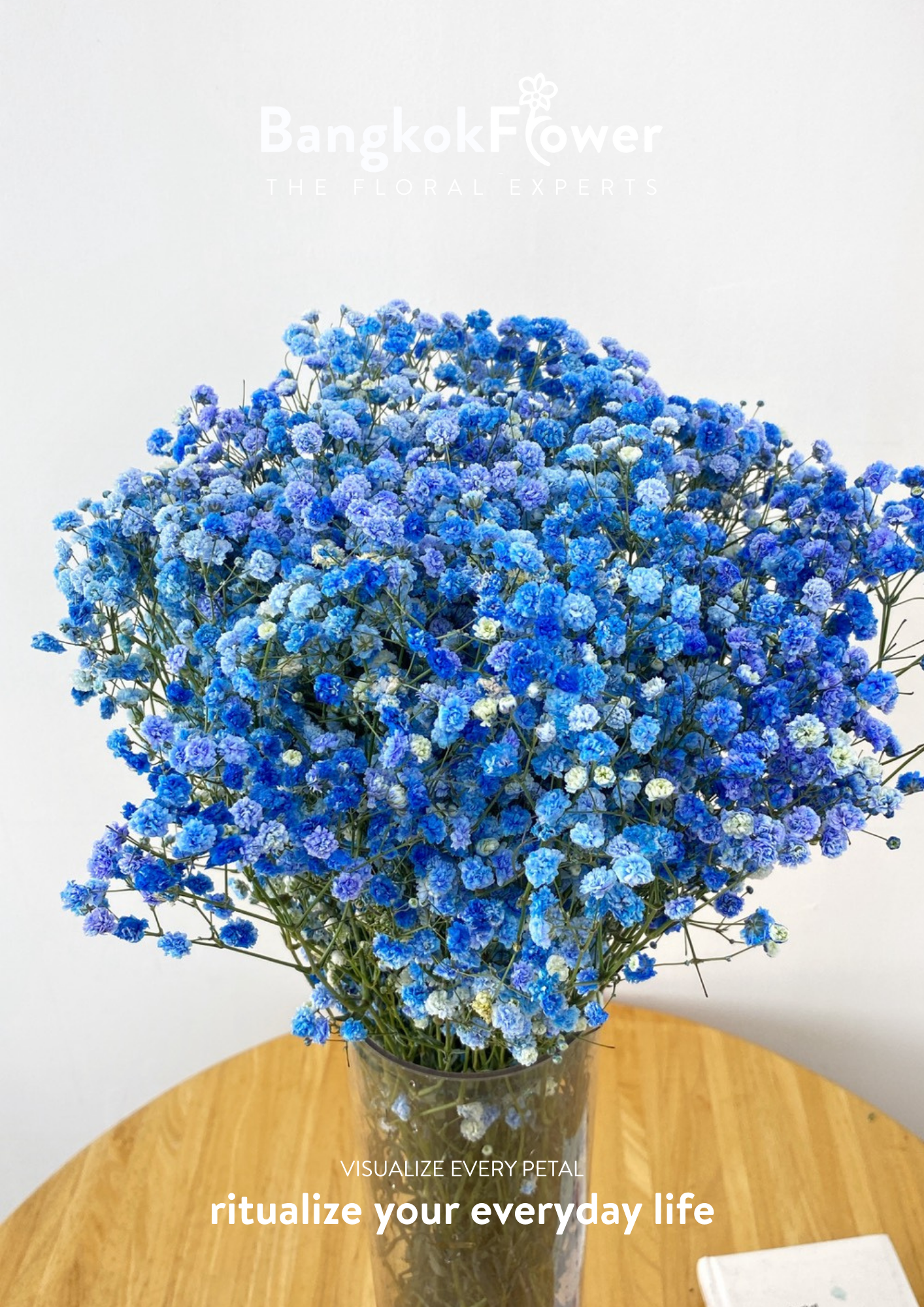 Gypsophila Blue
