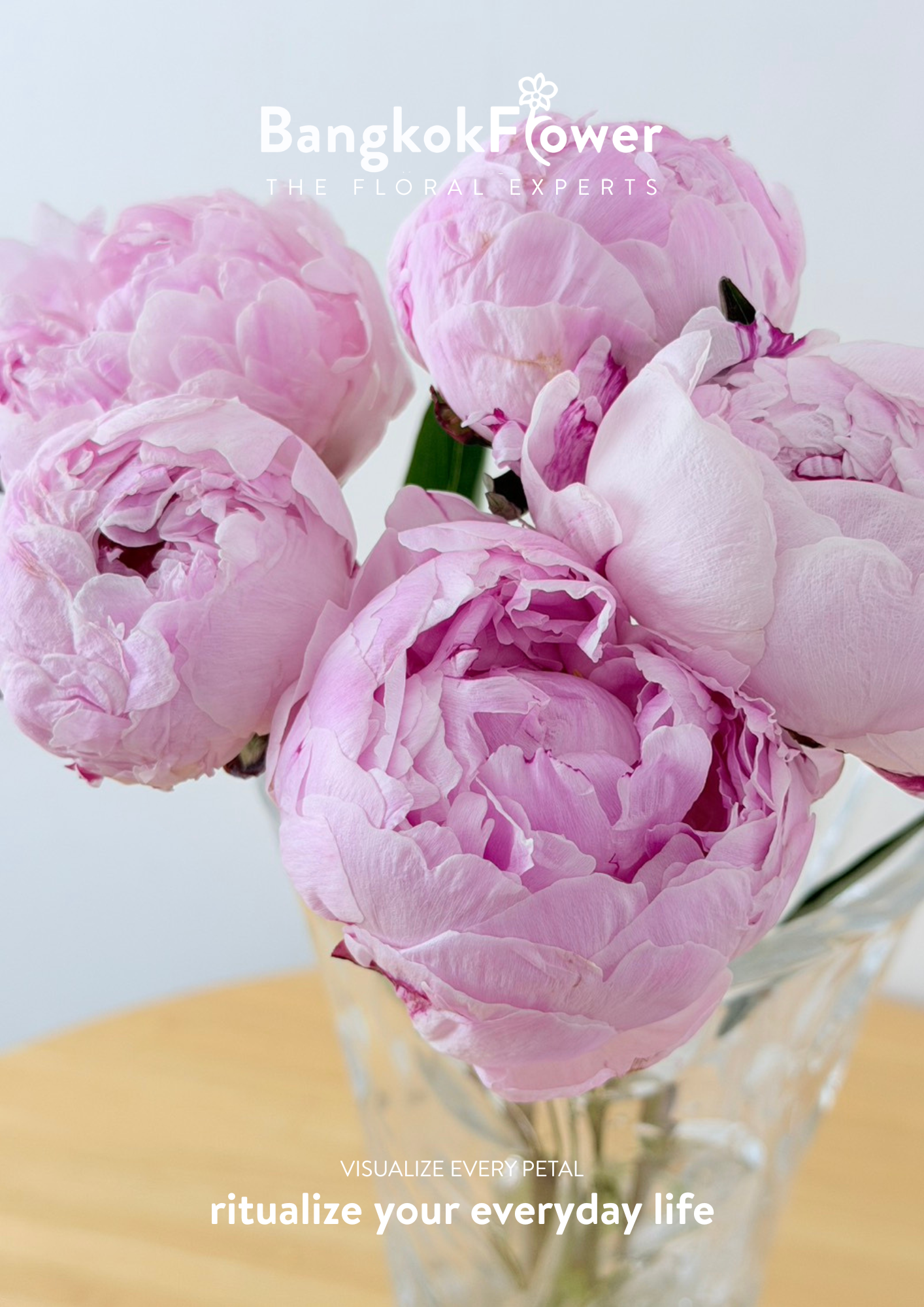 Peony Sara Pink