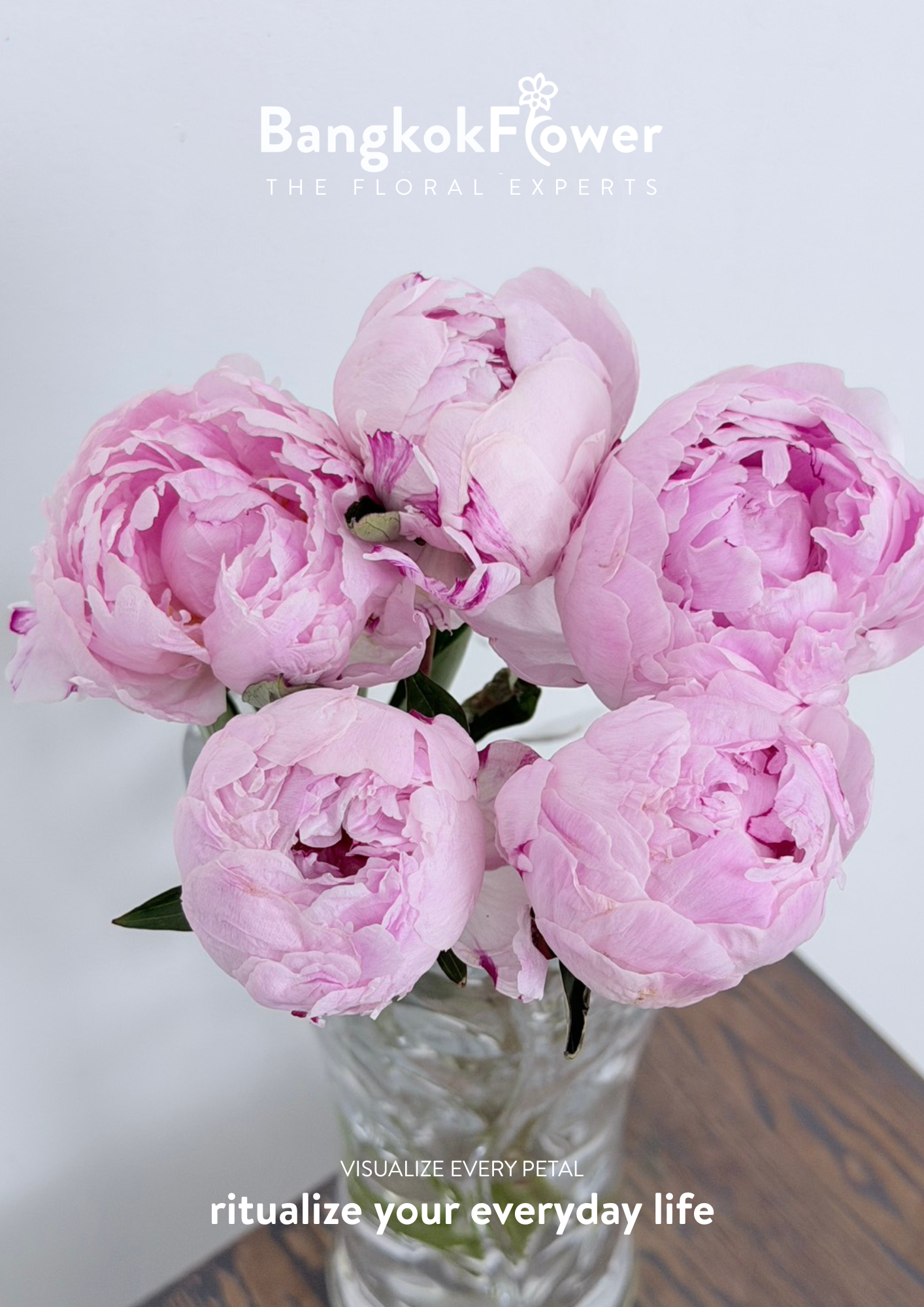 Peony Sara Pink