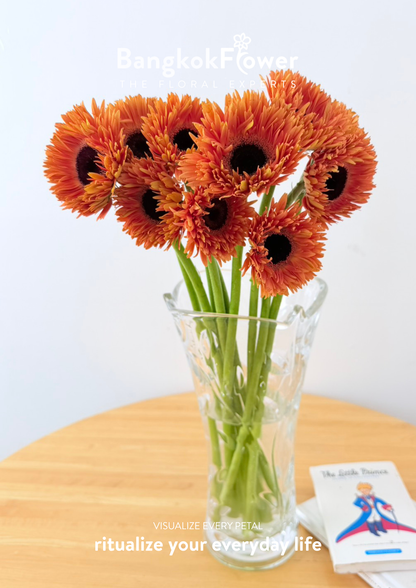 Gerbera Radiant Orange