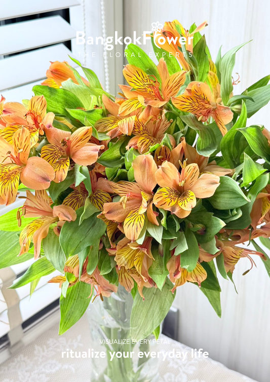 Alstroemeria Cocktail