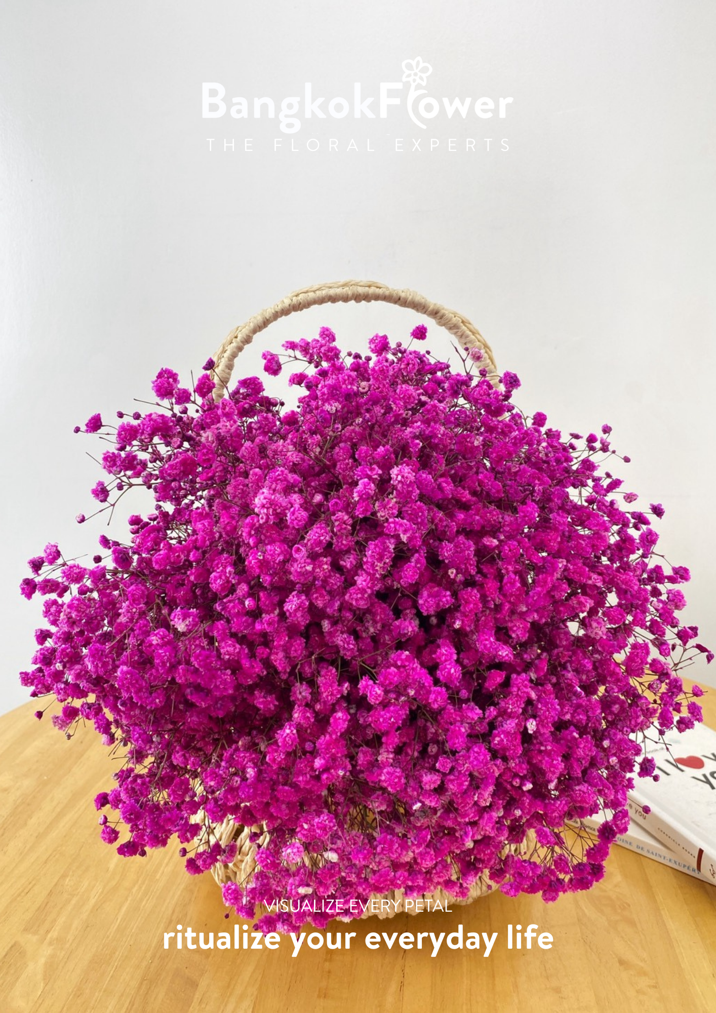 Gypsophila DarkPink