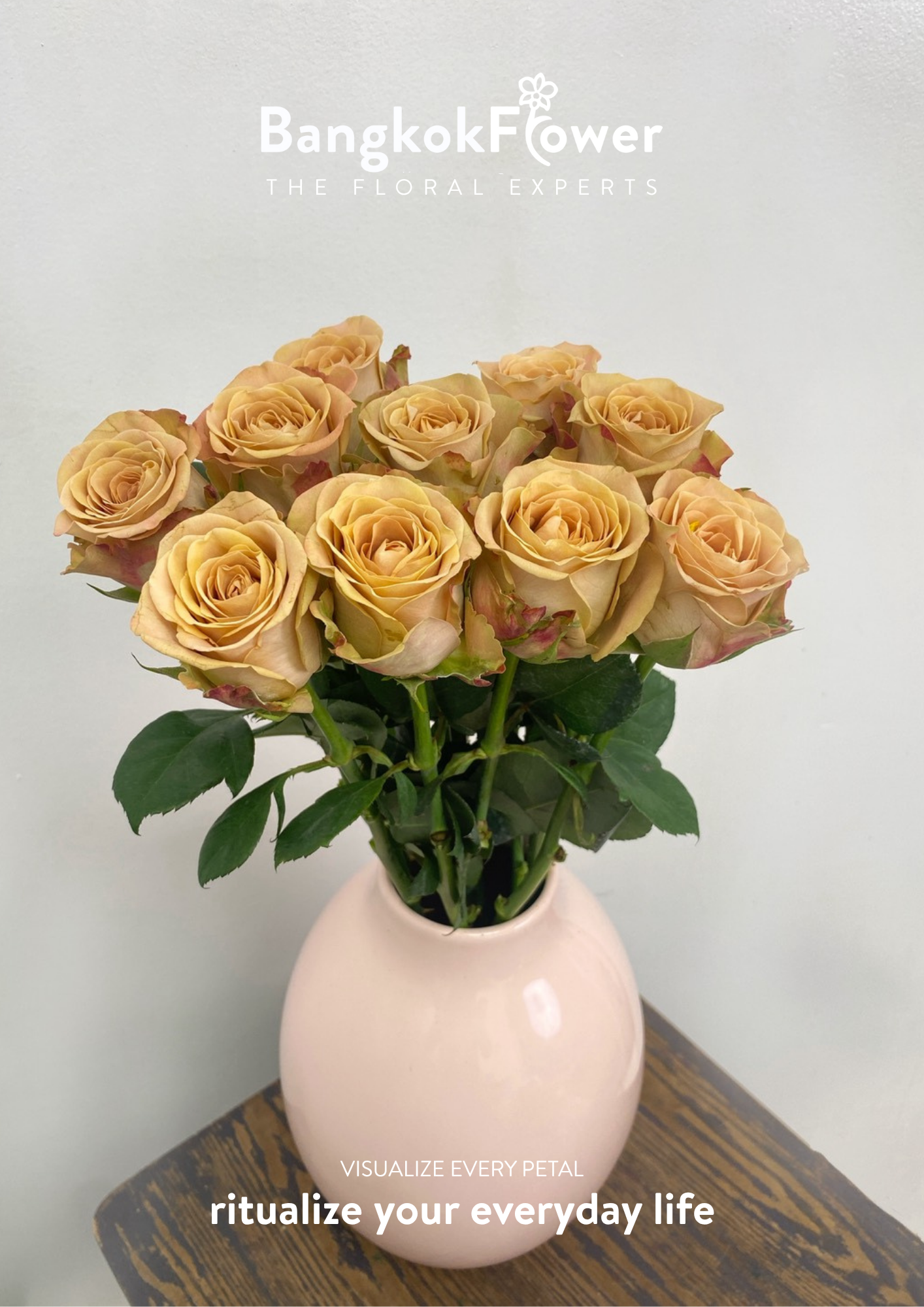 Cappuccino Rose