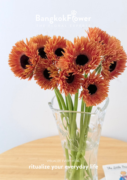 Gerbera Radiant Orange