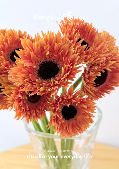 Gerbera Radiant Orange