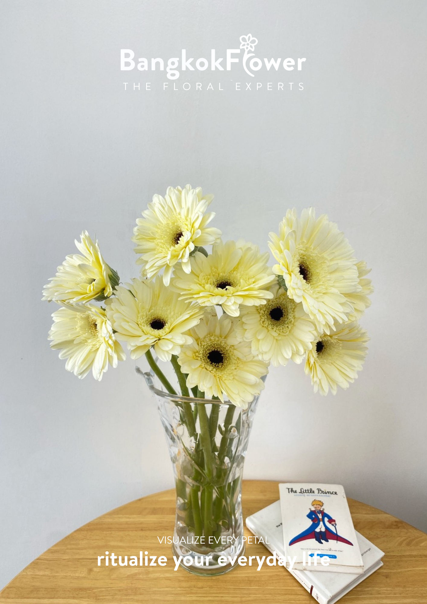 White Gerbera