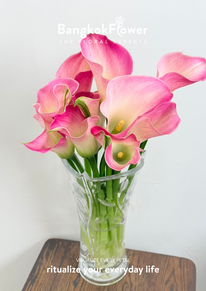 Calla Lily Light Pink