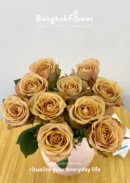 Cappuccino Rose