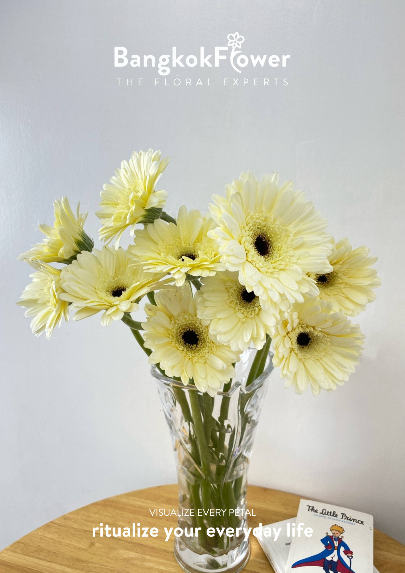 White Gerbera