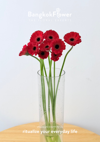 Mini Gerbera Catania