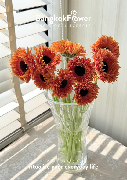 Gerbera Radiant Orange