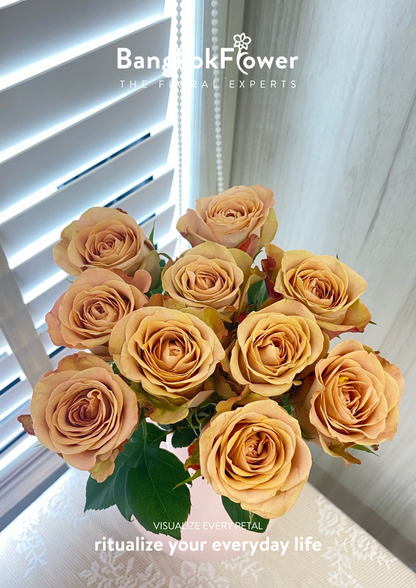 Cappuccino Rose