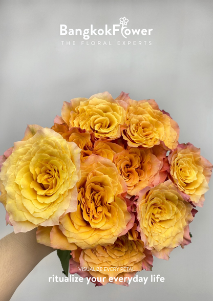Firebird Rose