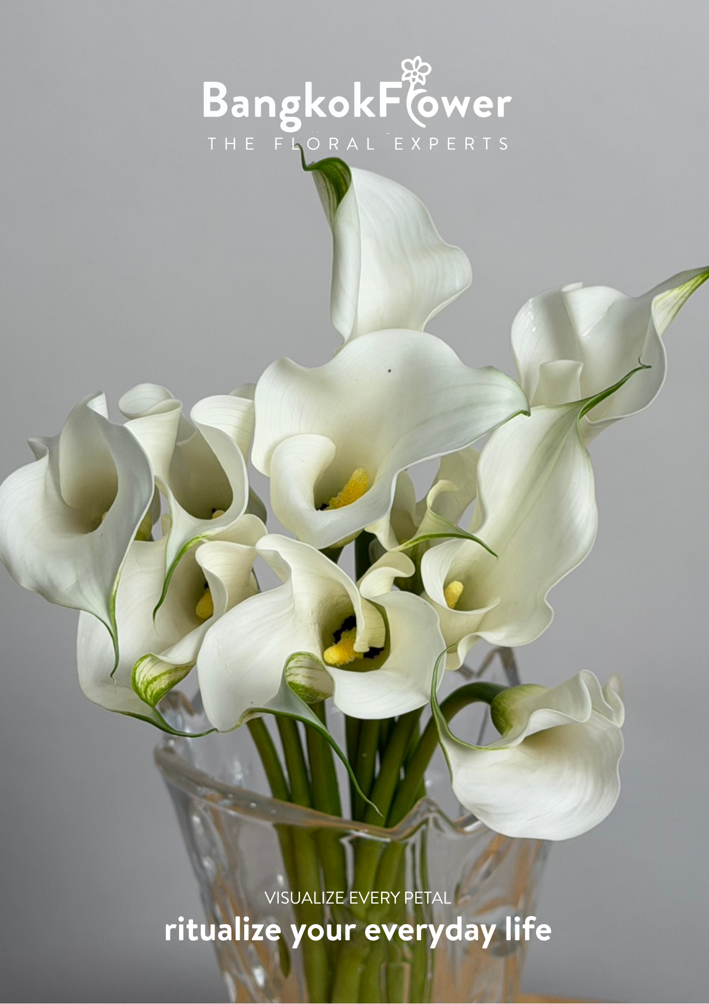 Calla Lily White
