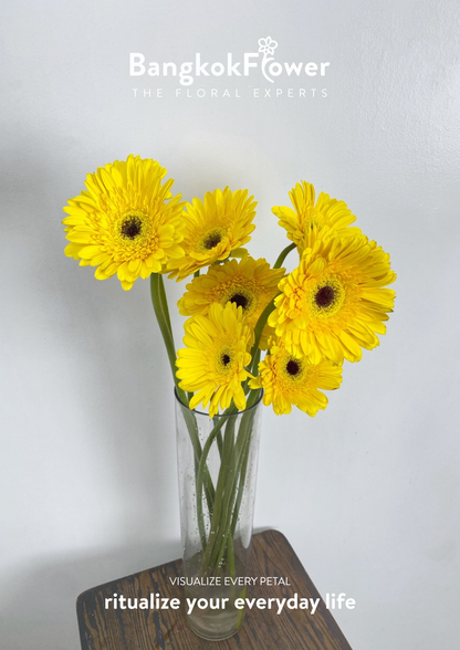 Yellow Gerbera