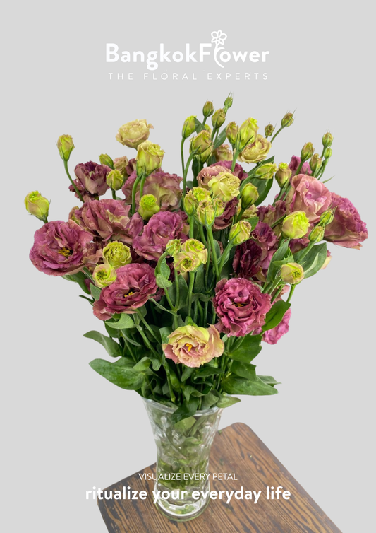 สีชา Eustoma