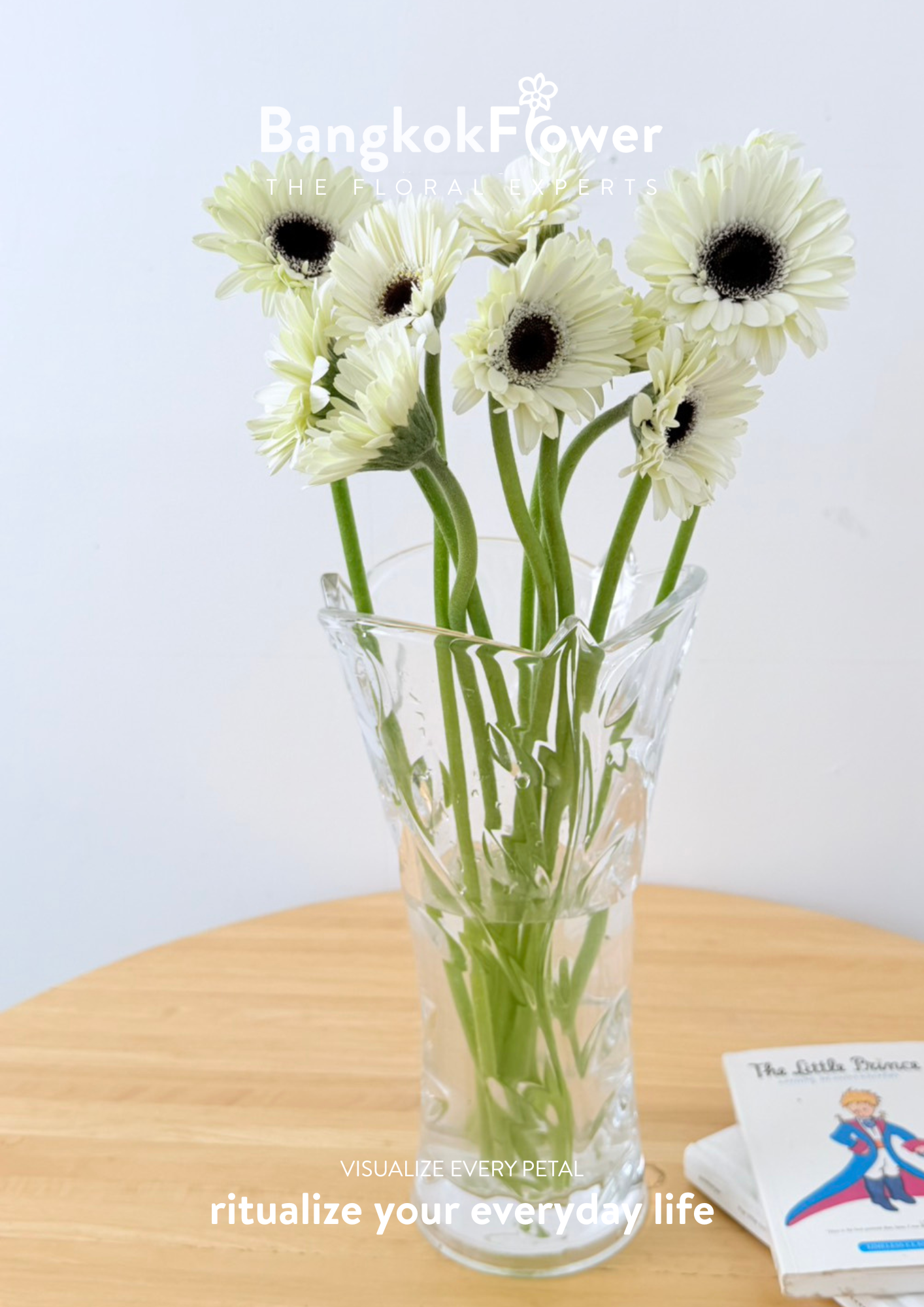 Mini Gerbera Frostsnow