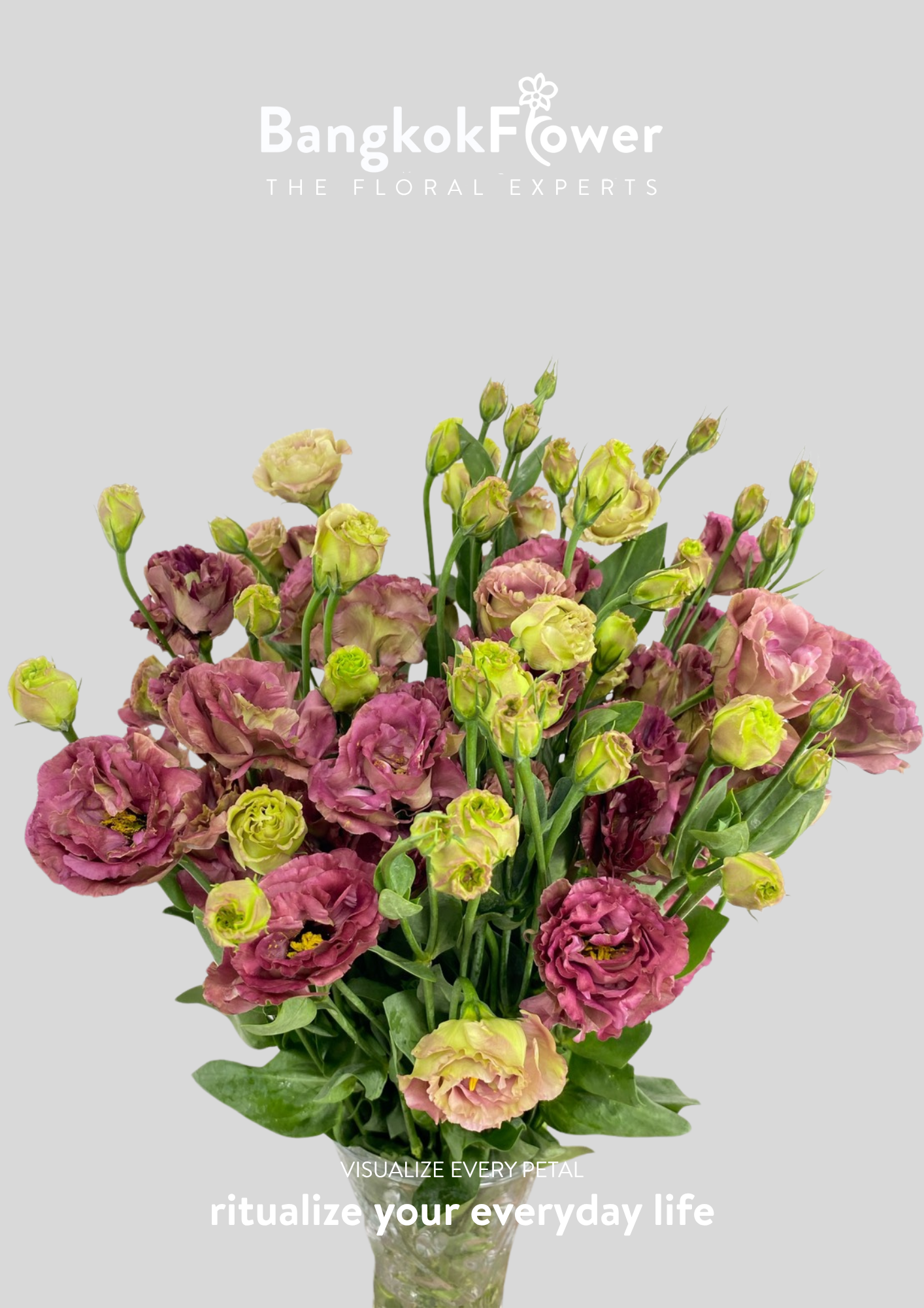 สีชา Eustoma