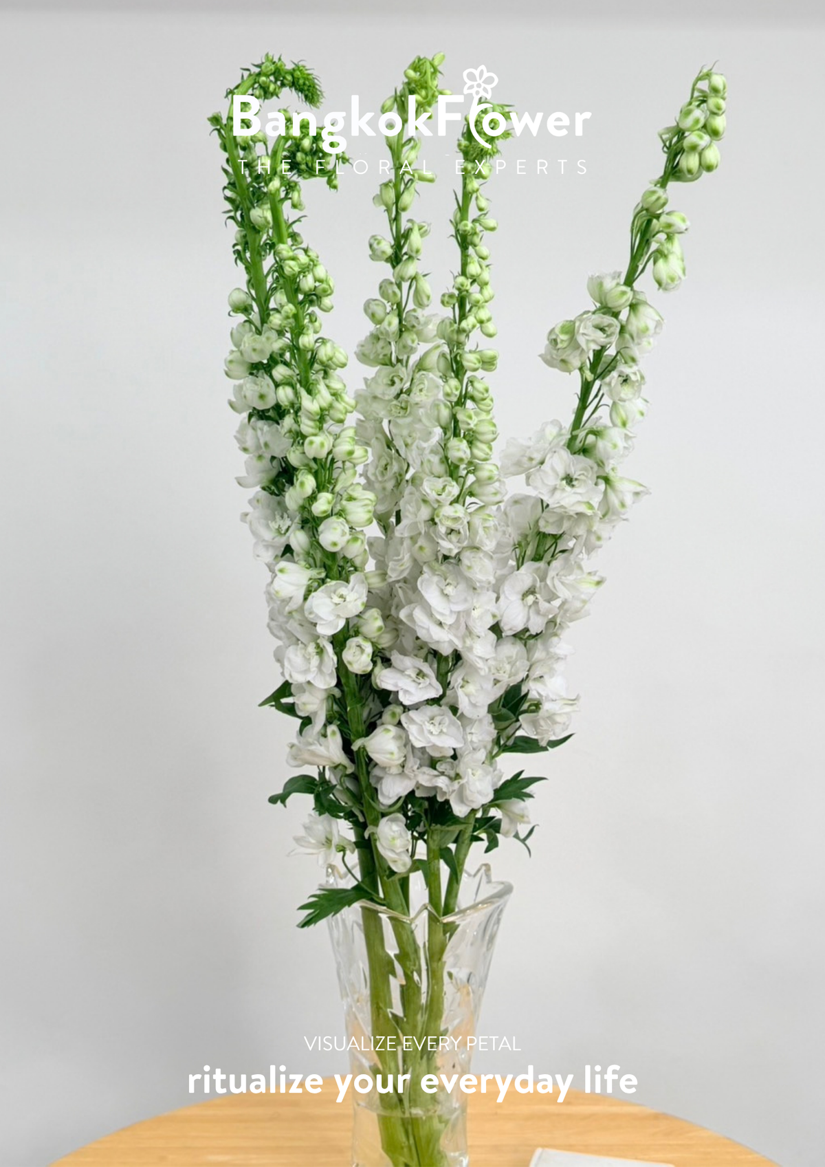 Delphinium White