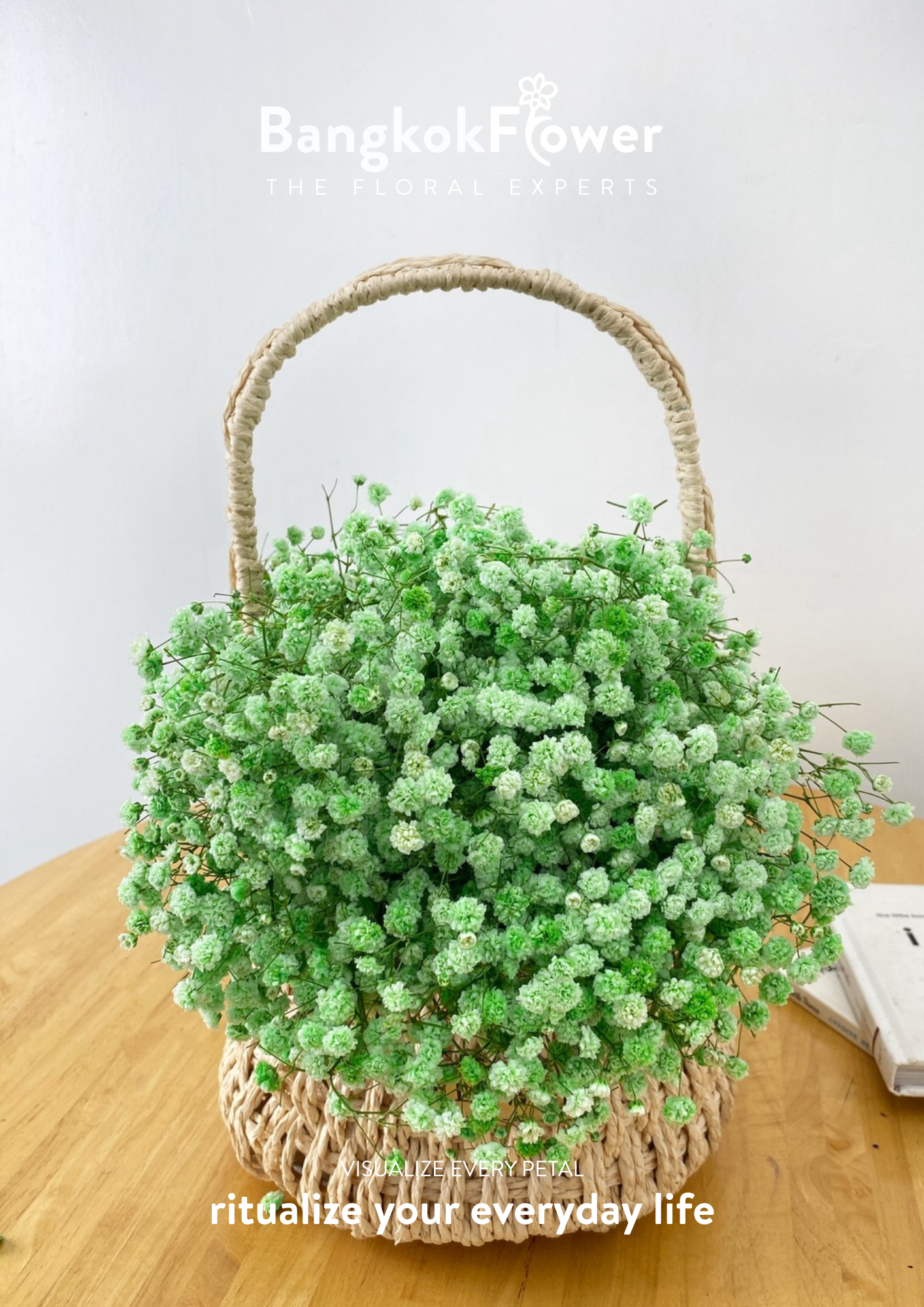 Gypsophila Green