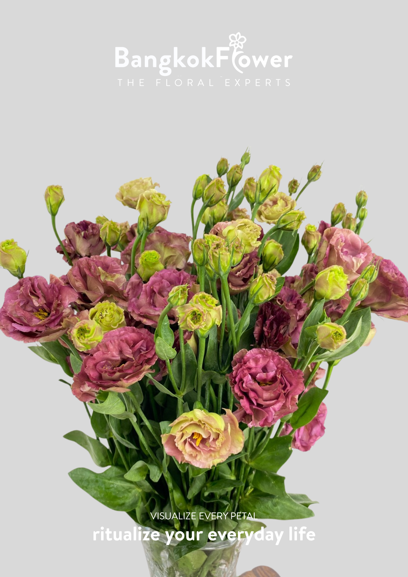 สีชา Eustoma