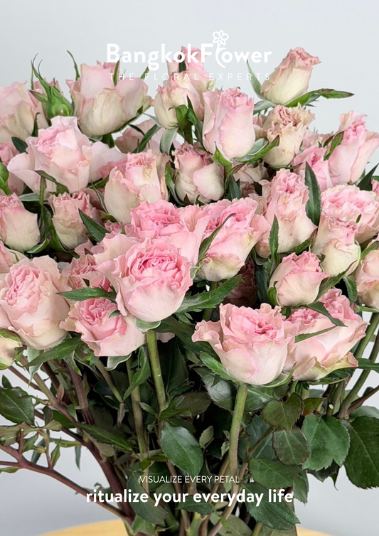 Spray Rose Blush Symphony