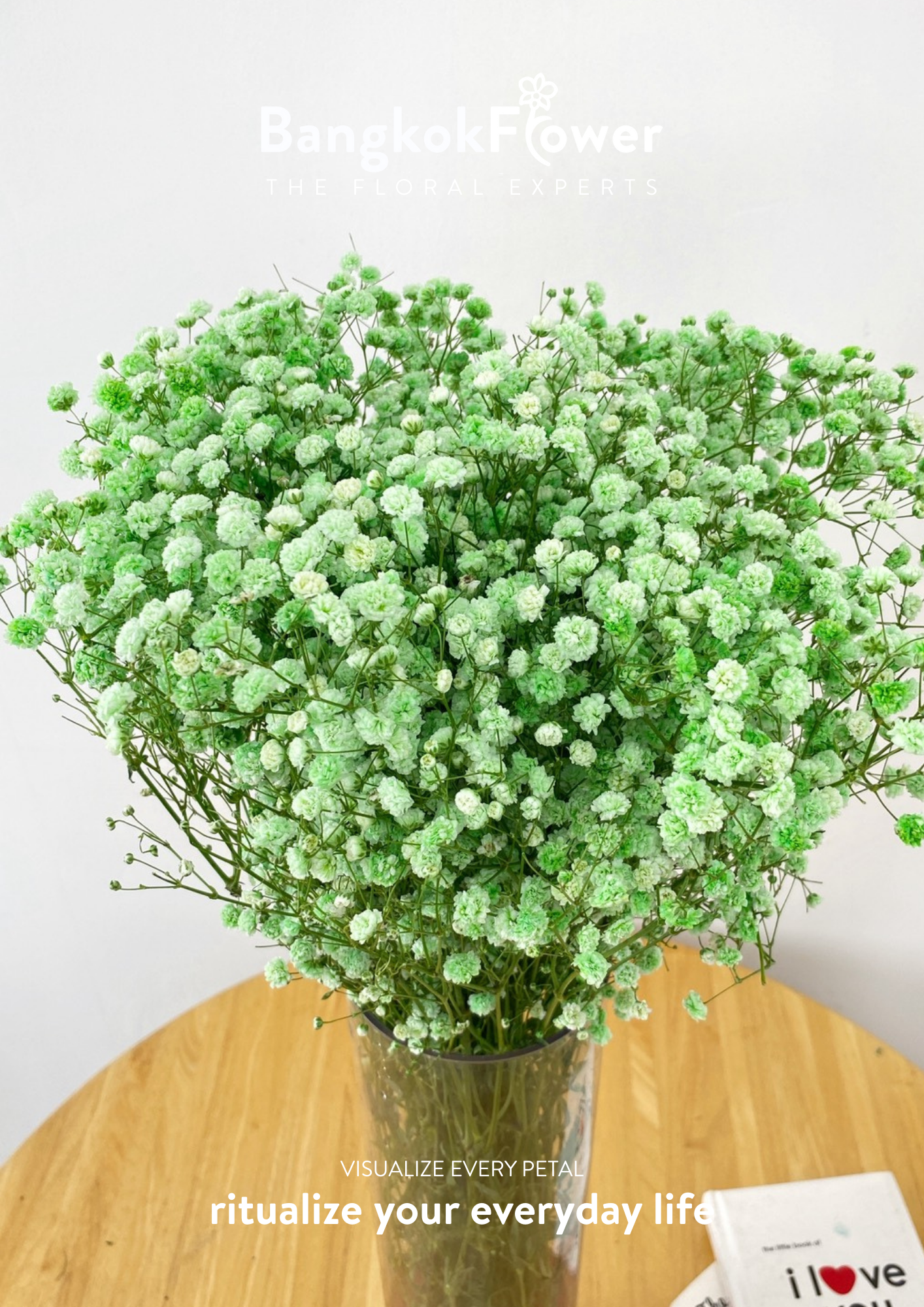 Gypsophila Green