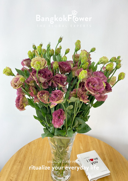 สีชา Eustoma