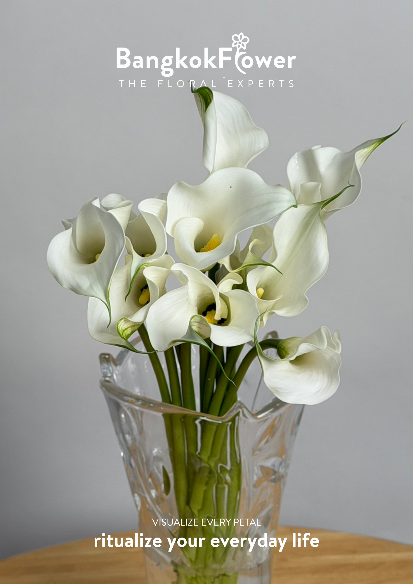 Calla Lily White