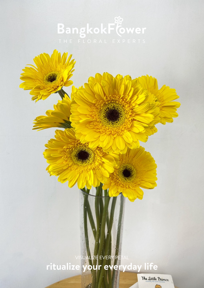 Yellow Gerbera